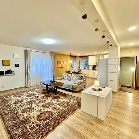 Apartment Japandi Apartamentai Kaunas